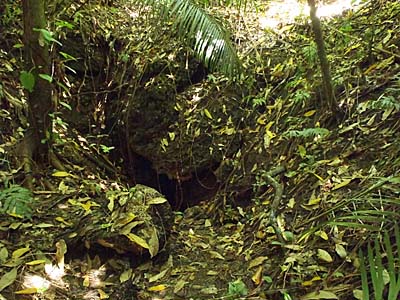 ������̃R�E�������A