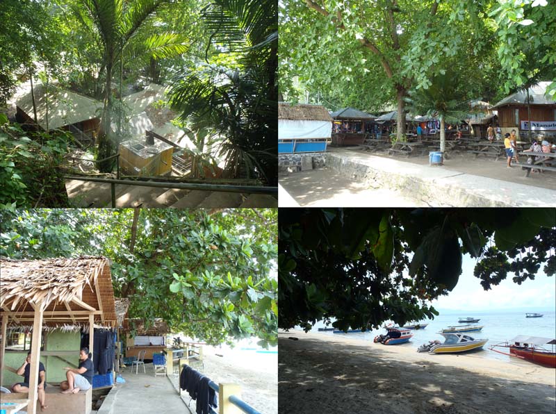 ���A���r�[�`