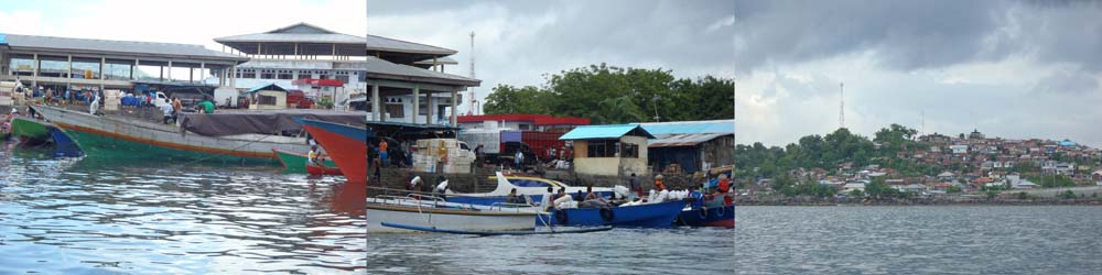 �}�i�h�̍`�Ǝs��