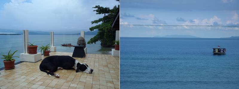 �e���X�ƃe���X���猩���i�F