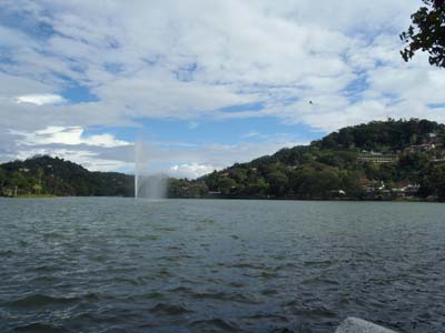 �L�����f�B��