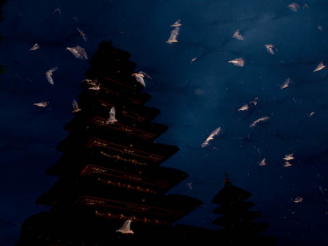 ��̔�яo��