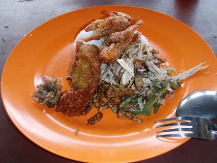 �ʂ̉Ƃ̃i�V�`�����v���[