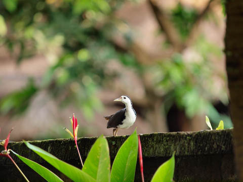 �e���X����V���n���N�C�i��������