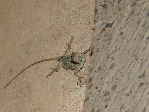 �g�r�g�J�Q