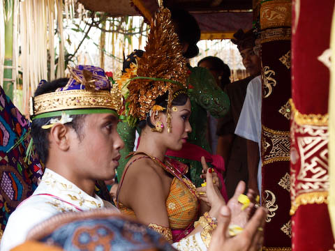 ���V���񂩂�j�����󂯂�ԉŉԖ�