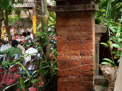 ���̌�̒���