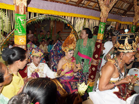 �E�u�h�ߍx�Ō����傫�Ȍ�����