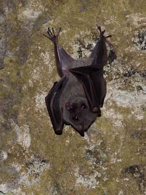 �Z���x�X���[�Z�b�g�I�I�R�E����