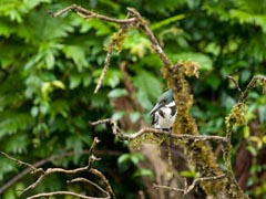 �I�I�~�h���J���Z�~