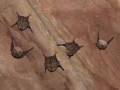 �n�i�i�K�T�V�I�R�E����