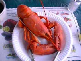 Lobster pound�łłĂ������u�X�^�[