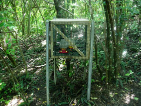 �x���o�[�h�p�̍������̃t�B�[�_�[