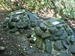 �R�r�g�y���M���p�̑���