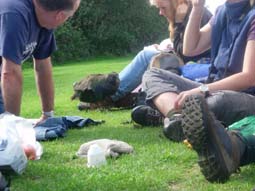 �l�X�̊Ԃő����̉a����^�J��