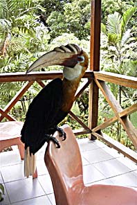 �e���X�ɓˑR����Ă����T�C�`���E