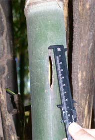 �^�P�R�E�����̌�