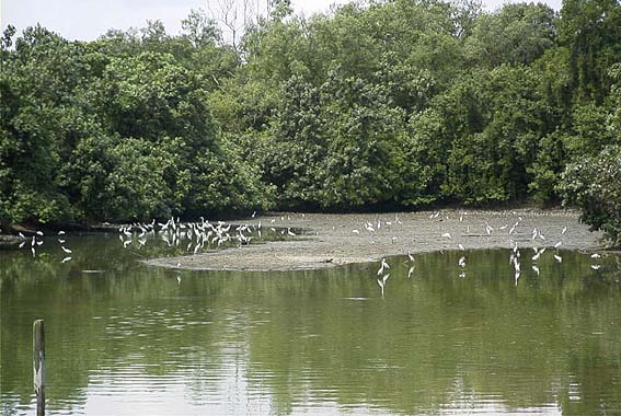 �X���Q�C�u���E�̋x�e������