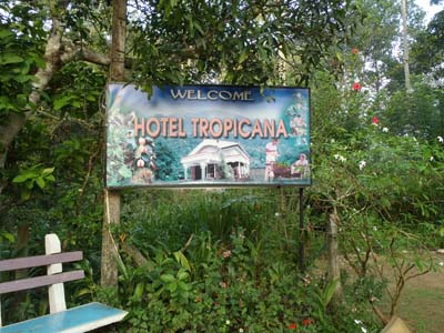 �z�e���g���s�J�[�i�̒�ɂ���Ŕ�