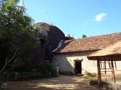 �C�X�����j�A���ɂ̌����e�ɂ����R�̌��ԂɃf�}�����[�Z�b�g�I�I�R�E�����̂˂��炪����