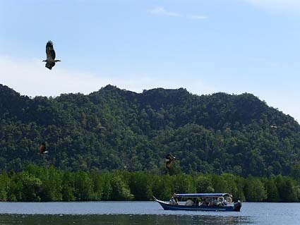 �h�̉a�t��