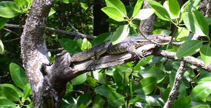 �~�Y�I�I�g�J�Q