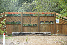 �J���m�n�V�ώ@��