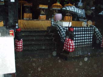 ����ȃj�V�L�w�r�͍Ւd���オ���Ă�����