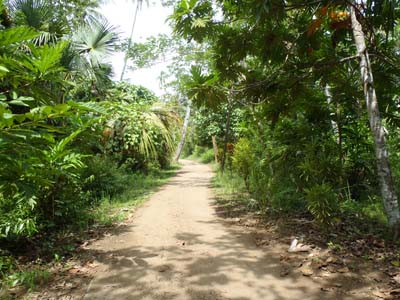 �^���W���E���p���M���̃��C�����H