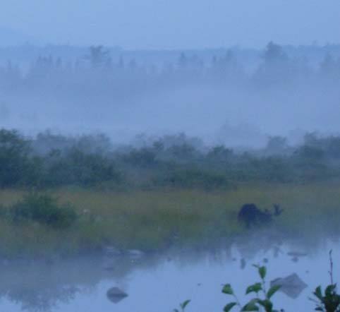 ���̒���